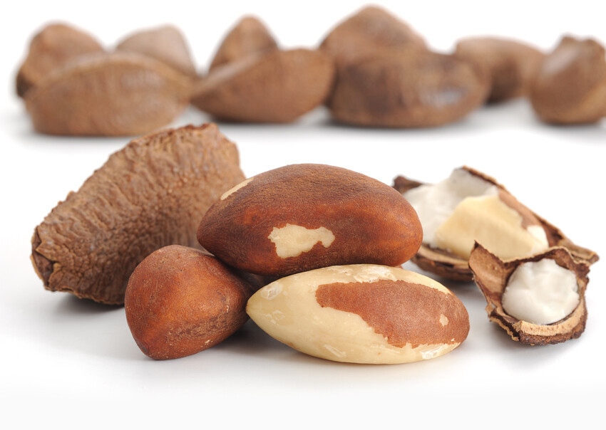 Brazil Nuts