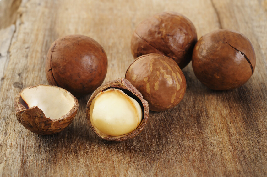 Macadamia Nuts