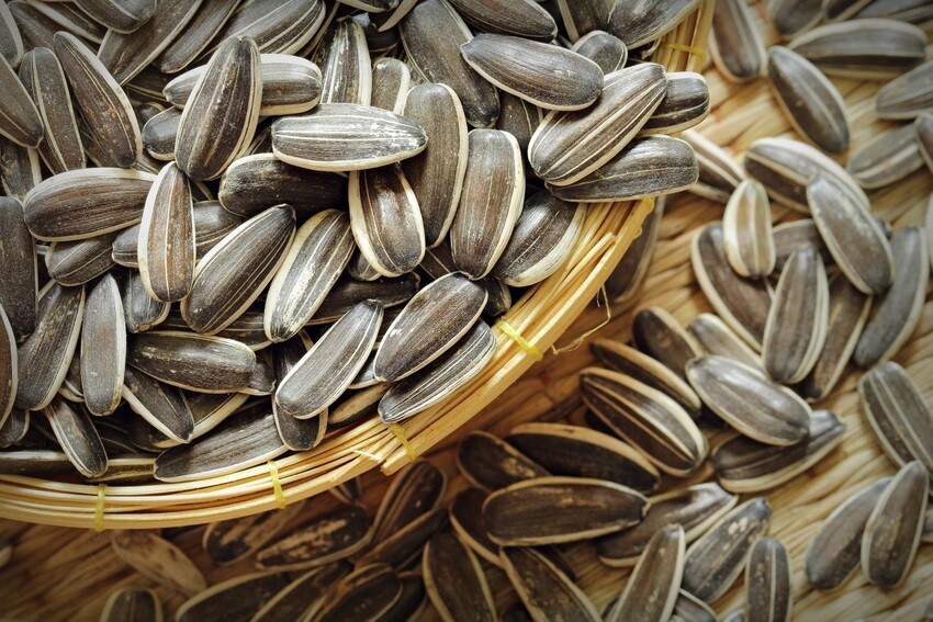 Sunflower Seeds